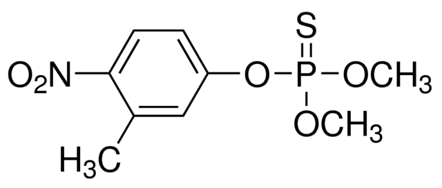 乙腈中殺螟硫磷溶液，100μg/mL